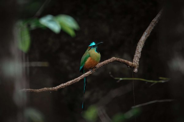 La sophrologie au service de votre objectif de minceur