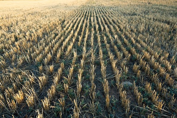 Comment gérer l'hypocondrie dans un contexte de santé publique en évolution ?